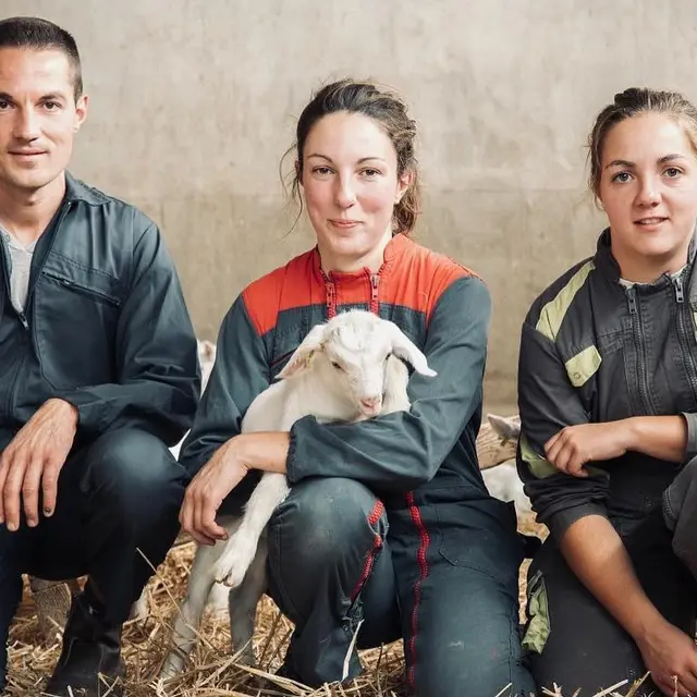 La Ferme des P'tits Caprices Terval