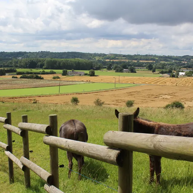 Les Borderies_Marçon_ 300616(23)