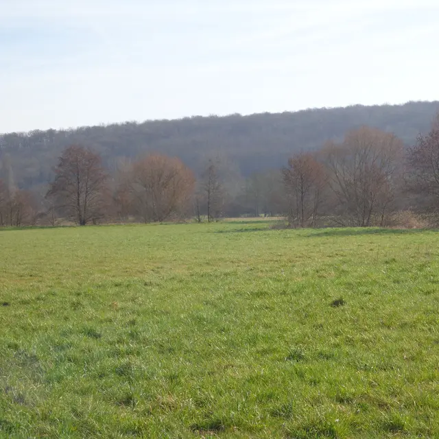 Les Prés pour accès à l'Anille à Bessé