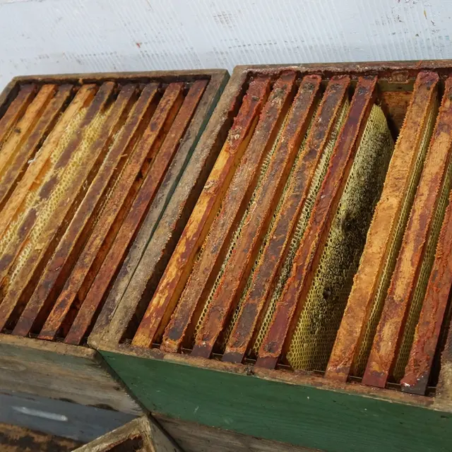 Les Ruchers Belmontais_Beaumont_deg72 (2)