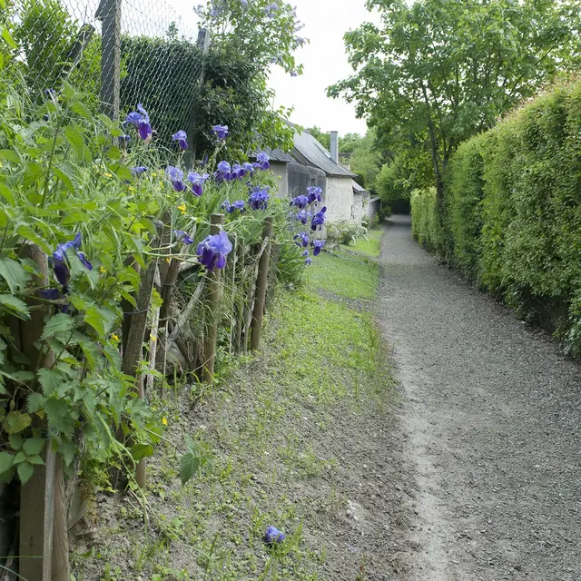 Les ruelles du Parcours Patrimoine de Neuvy-le-Roi1B