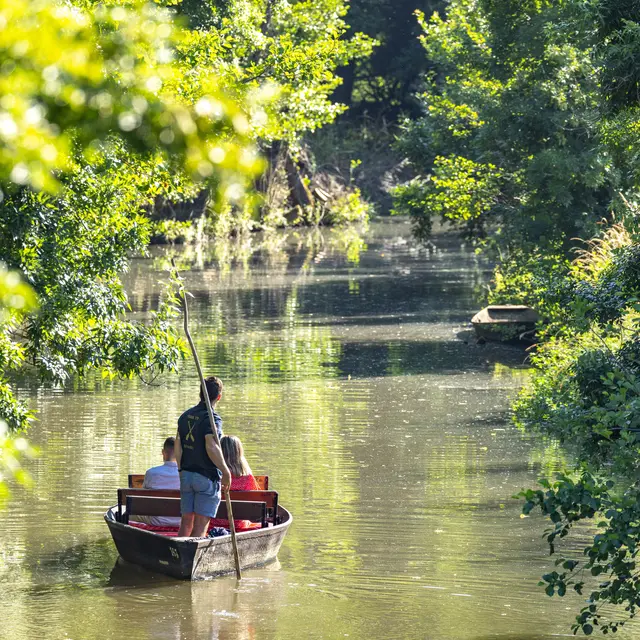 Le sud Vendée , le Mazeau