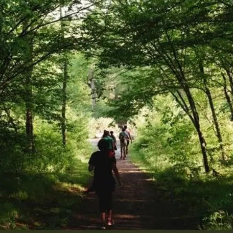 Marche-Remouillé_2024_levignobledenantes-tourisme.com