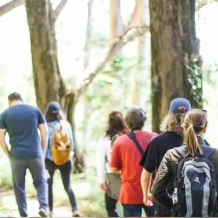 Marche_Vallet_2024_levignobledenantes-tourisme.com