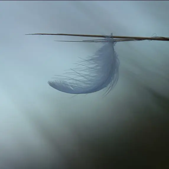 Minimalisme_Clisson_2025-DestinationVignobleNantais.com