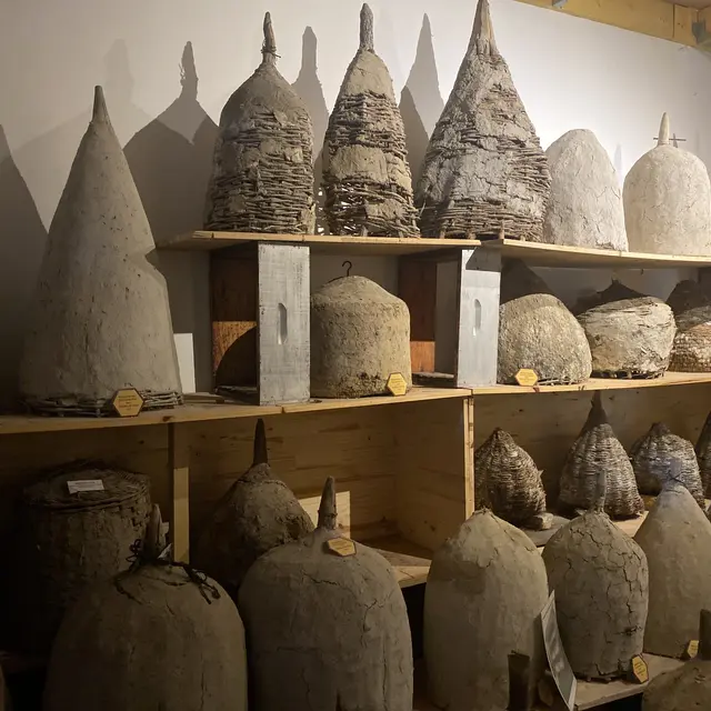 Musée de l'Abeille - Saint-Germain-sur-Sarthe