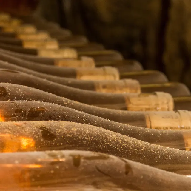 NouryOTVL2015@stevanLIRA-2