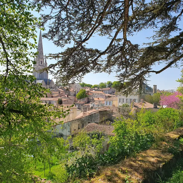 Parc Baron Fontenay-le-Comte 85-2