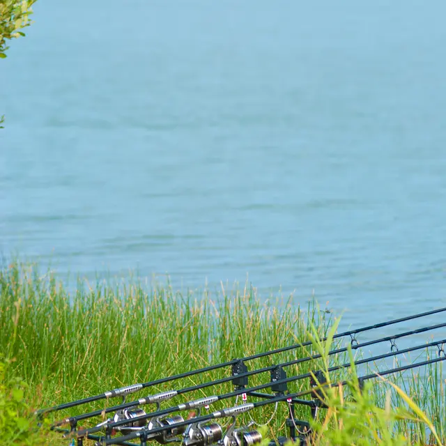 Pêche base de loisirs de la Monnerie_la Fleche