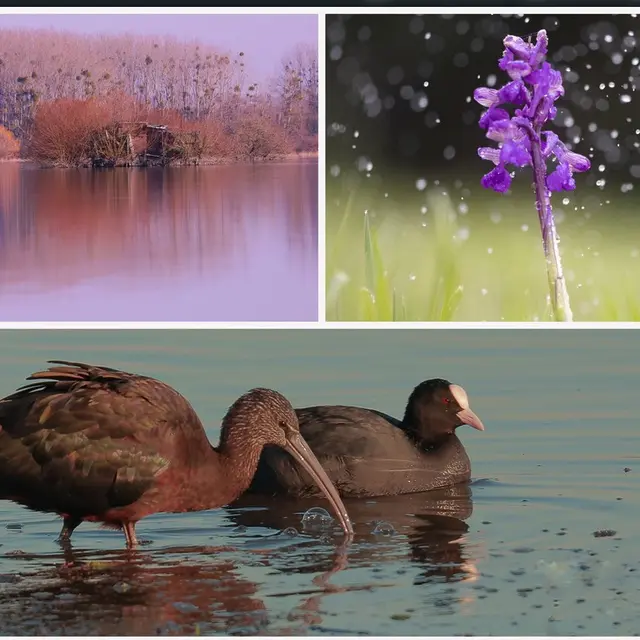 PeintureMarais_HauteGoulaine_2025_DestinationVignobleNantais.com