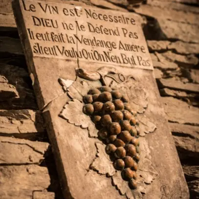 Pique-nique dans les vignes La Ragotière_LaRegrippière_2025_DestinationVignobleNantais.com