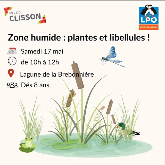 Plantesetlibellules_Clisson_2025_DestinationVignobleNantais.com
