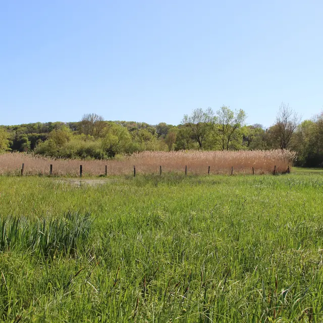 PNA879001287 - RNR Dureaux-Vaas 1