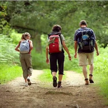 RandoTéléthon_Maisdon_2024_levignobledenantes-tourisme.com