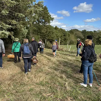 Randonnee-champignons