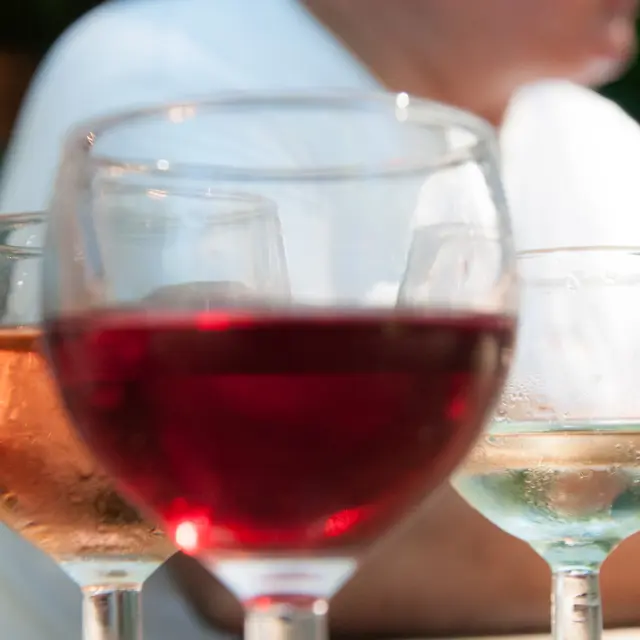 Rando-vigne-Chahaigne-2013-Stevan-LIRA--30-