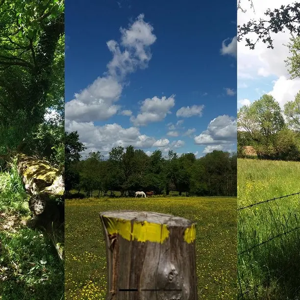 Rando8mai_LaRemaudière_2025_DestinationVignobleNantais.com