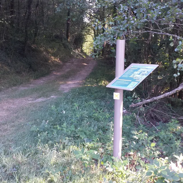 Sentier des Dortières - Loge Fougereuse - 85