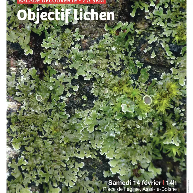 Sortie ABC Objectif lichen 14 02 Assé-le-Boisne