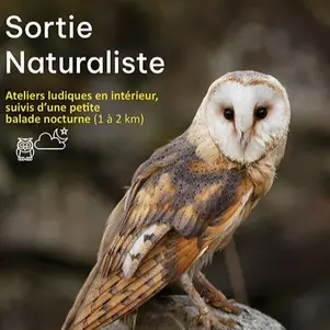 SortieNaturaliste_HauteGoulaine_2025_DestinationVignobleNantais.com