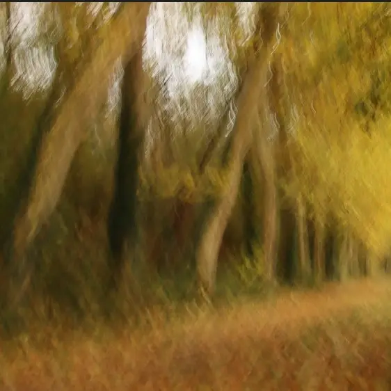 SpécialPhotoCréative_Gétigné_2025_DestinationVignobleNantais