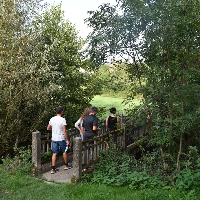 Sentier des Claires Fontaines - St Hilaire de Voust - 85