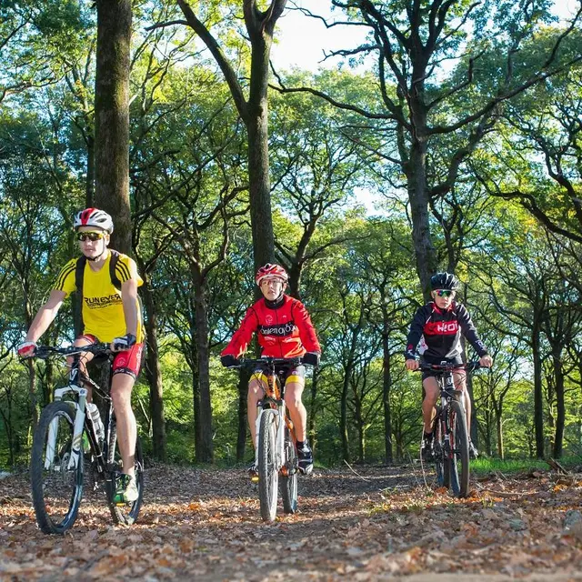 VTT 3 Mervent