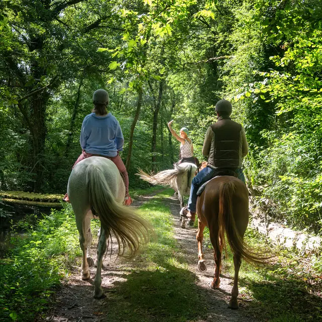 WOYTEK_KONARZEWSKI_DSC5649