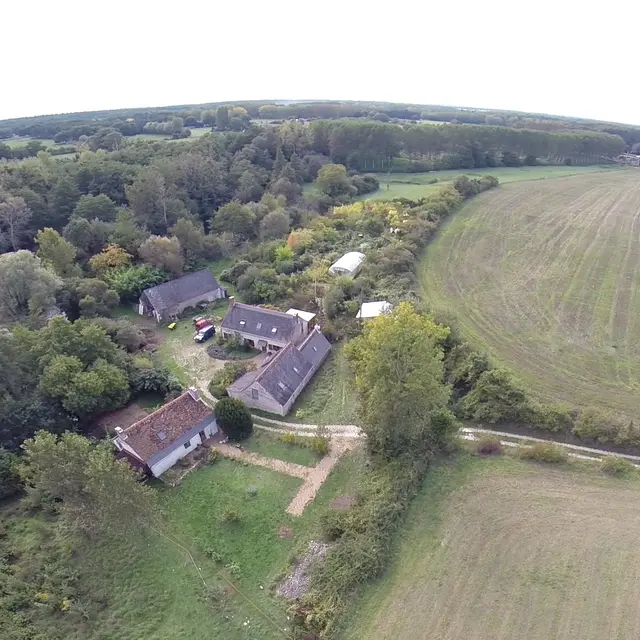 aerial4
