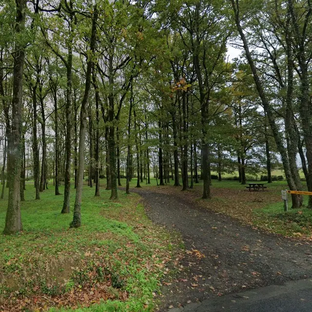 aire-pique-nique-le-coudray-marsais-sainte-radegonde