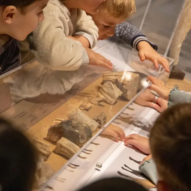 animos-prehistoriques-grottes-de-saulges