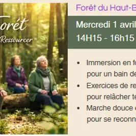 bain de foret