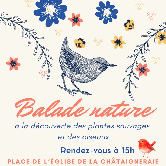 balade nature - La Châtaigneraie - 85