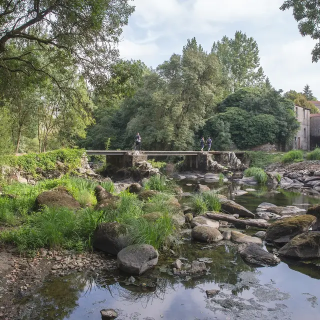 balade-nature-boussay-2025-destination-vignoble-nantais