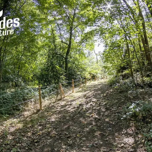 baladeennaturegetigne_2024_levignobledenantes_tourisme