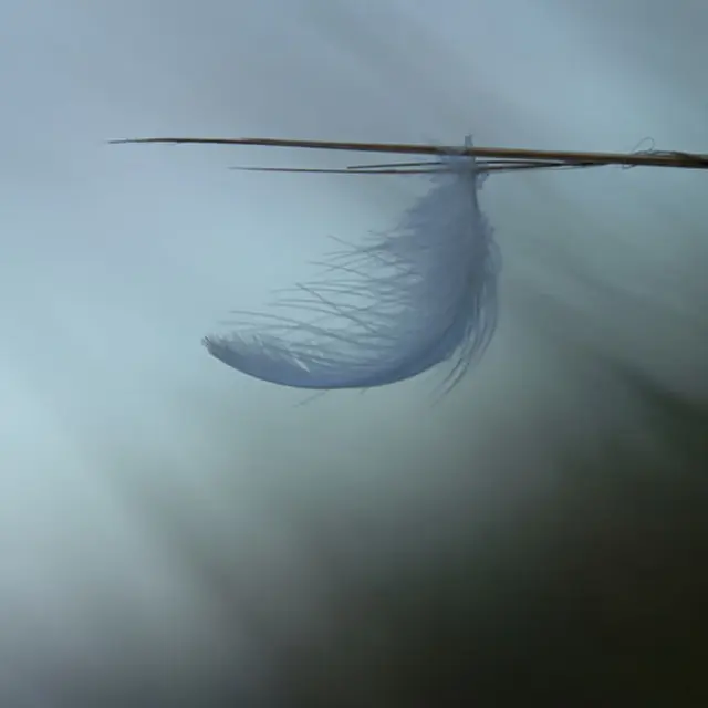 baladephotominimalisteclisson-2024-levignobledenantes-tourisme