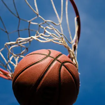 basket
