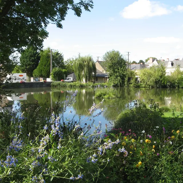 ACCAM49-le-guédeniau-3