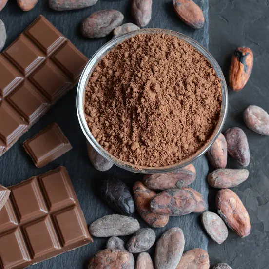 chocolat-atelier du gout