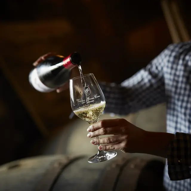 Dégustation au Châateau du Coing