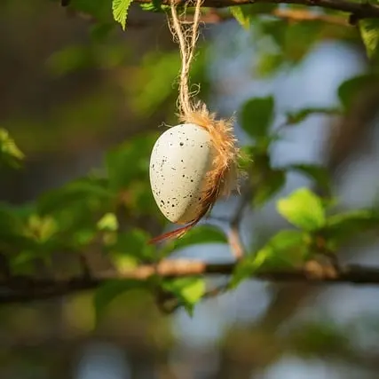 couleur-decoration-10163426_640