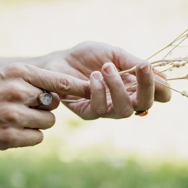 crédits photo sont de Simon Gosselin