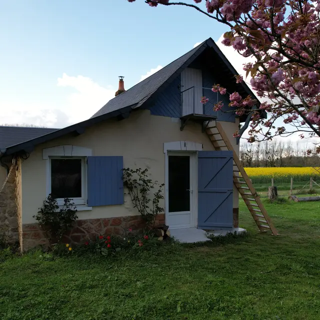 dji_export_1649524260107