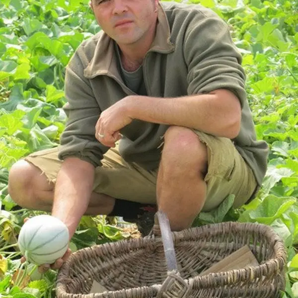 earl-pivault-saint-nazaire-infos-fr-1215806