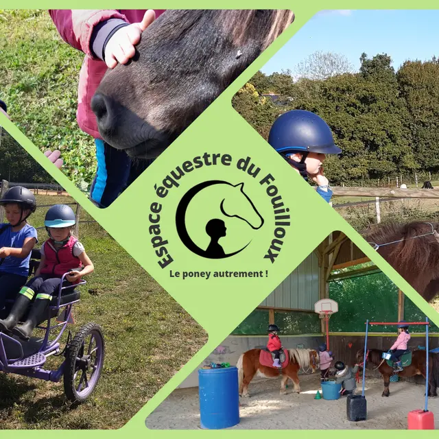 espace equestre (Couverture Facebook)