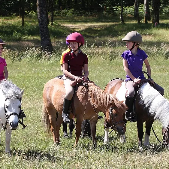 equitation-poney6-ffe-psv-reduite