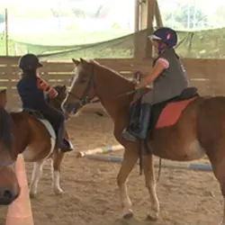 etrier-fontenaisien-centre-equestre-85200-fonenay-le-comte-1