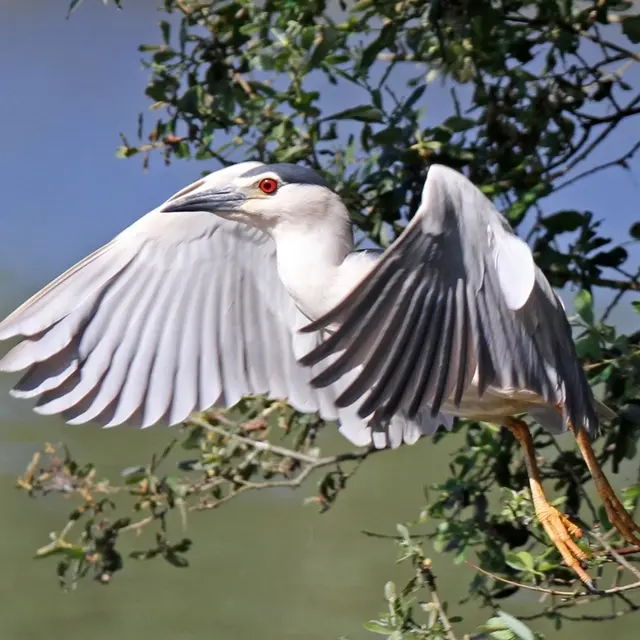 exposition maison bleue 2024 haute goulaine francoise bretagne2
