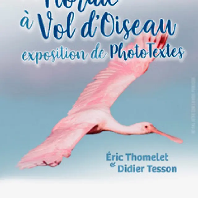 exposition maison bleue 2024 haute goulaineEric Thomelet