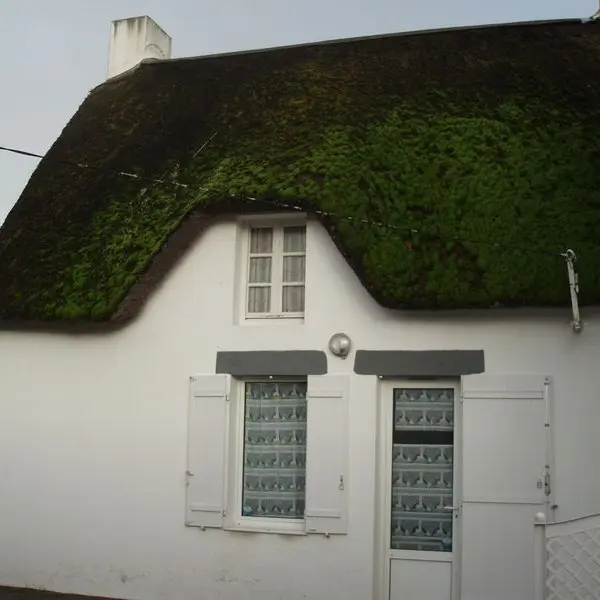 facade-de-la-chaumiere-537768